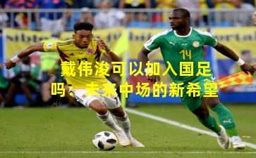 戴伟浚可以加入国足吗：未来中场的新希望